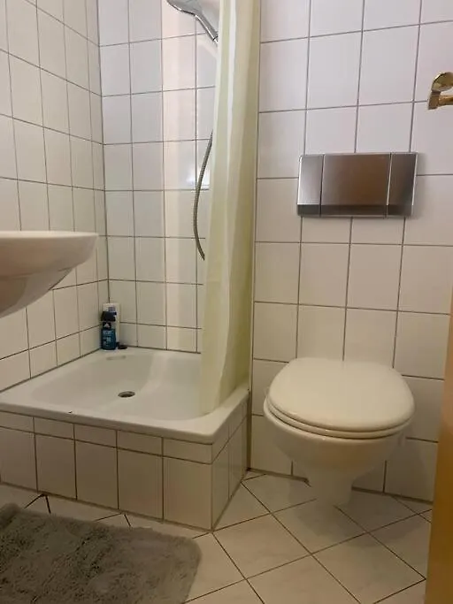Traumwohnung An Der Elbe ドレスデン